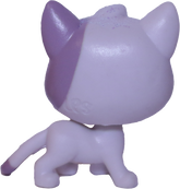 No # Cat "Lemon Fluff"